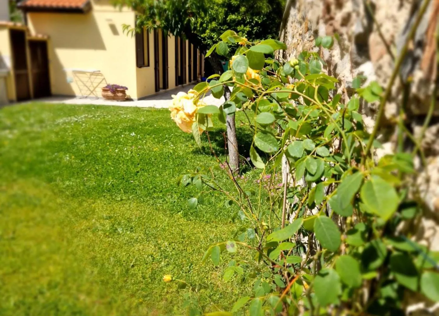 Serra Di Mare Casa Con Giardino Livorno 0*,